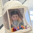 신백어린이집 | 8개월 아기 문센ㅣ천안 신세계아카데미 문화센터 리틀자이언트 중국으로 여행으로 떠나요!