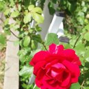 고향의봄도서관 이미지