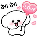 골든햄스터분양 탬펫 이미지