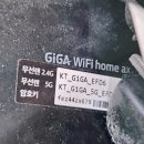 베리베리솔티 네이버블로그