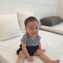 꼬메벨로 3레이어 바닥토퍼 구매후기