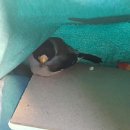 호반숲속 작은도서관 이미지