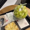 [부산/동래] 설빙 동래역점 내돈내산 후기 | 신상 빙수 요거치즈메론몽땅설빙 후기