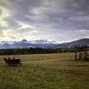 우애목장 이미지