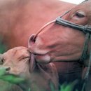 횡성농장 이미지