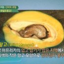 초록망고 이미지