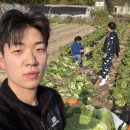 영차치킨