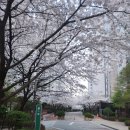 센타공인중개사사무소 | 진접읍 사무소 근처 준신축 남양주시 진접읍 부평리 공장 임대