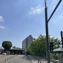 하루호텔 | [서울 신라호텔 호캉스] 하루동안 알차게 즐긴 신라호텔 이그제큐티브 라운지 후기