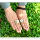 2013년 진해 벗꽃 축제 모정 입선 이미지