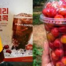 체리콕콕 이미지