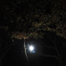 미르오토캠핑장 이미지