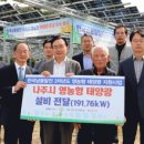 호남1호태양광발전소 이미지