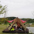 금은파크 이미지