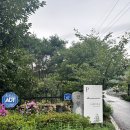 스테이 하냥 이미지