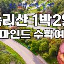 백두여행사 이미지
