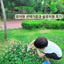 대한유치원 | 유치원 선택 기준과 숲 유치원 후기