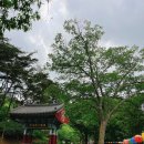 마곡사 내 주차장 화장실 이미지