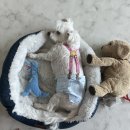 마더스동물병원 이미지