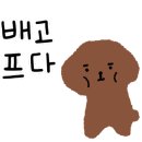 아이몽 애견 유치원 이미지