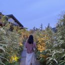 무이림3 이미지