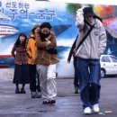 고양이를 부탁해 | 영화 고양이를 부탁해 내용 정리 출연진 정보