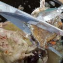 김윤미전복삼계탕 이미지