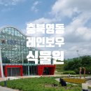 영동중앙시장 | 충북 영동 1박 2일 여행코스, 레인보우식물원과 과일나라테마파크 둘러보기