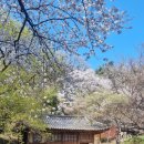 남간 | 대전가볼만한곳, 우암사적공원 남간정사 우암문화제