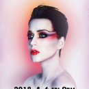 더스카이투어(The Sky Tour)