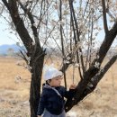 달창저수지 이미지