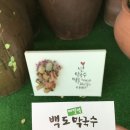 백도가면