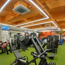 머슬비치짐 휘트니스 이미지