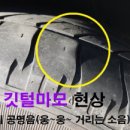 타이어하그네 이미지