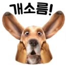 한 걸음 더 부동산 재테크 이미지