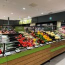 (주)동송오케이마트 | 호주간호사일상) Merry Chrissy / 에케 Aged care sara stedy, Hoist sling이 뭐더냐…