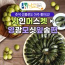 남도힐링투어 이미지