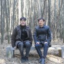 금마관광지 이미지