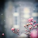 박*영 이미지