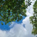 황금봄정신건강의학과의원 이미지