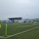 영광잔디 이미지