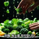 리셋기능비만
