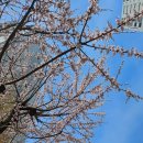 홍산의원 이미지