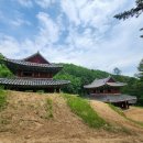 영감사 Daum카페
