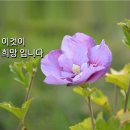 니아 이미지