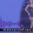 논란이 됐던 마마무 화사 연말무대 란제리룩 비하인드 스토리(의상 실장 피셜) 이미지