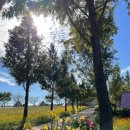 스테이순천 이미지