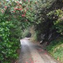 거제지심도 이미지