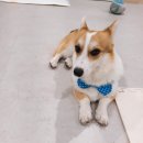 주견야독 이미지