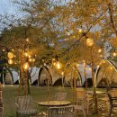 남가1길 | 순천 캠핑 신대지구 강아지동반 식당 글램핑 고깃집 / 더 필드 가든 (내돈내산후기)